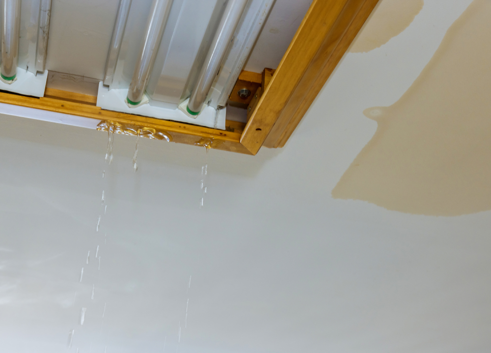Where can water enter the home and cause water damage and mold?