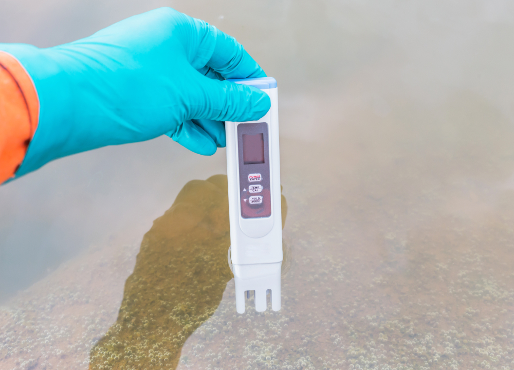 what types of qpcr analysis of mold spores is available today?